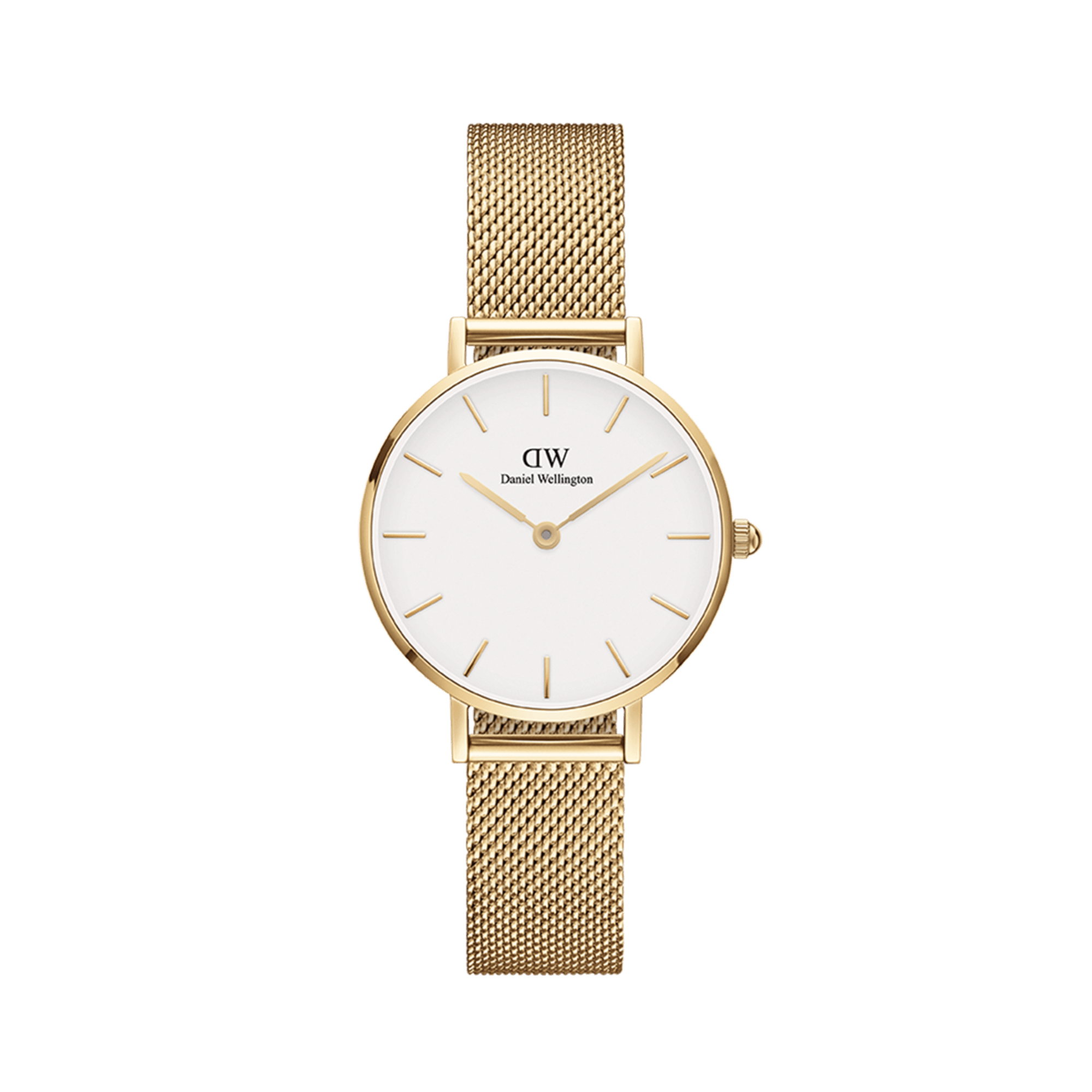 Petite Evergold – Gold & White in 36 mm | DW Petite Evergold – Gold & White in 36 mm | DW