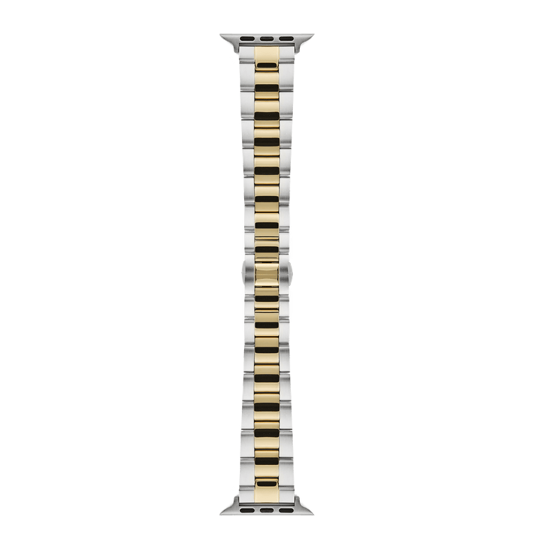 Smartwatch Iconic Link two-tone