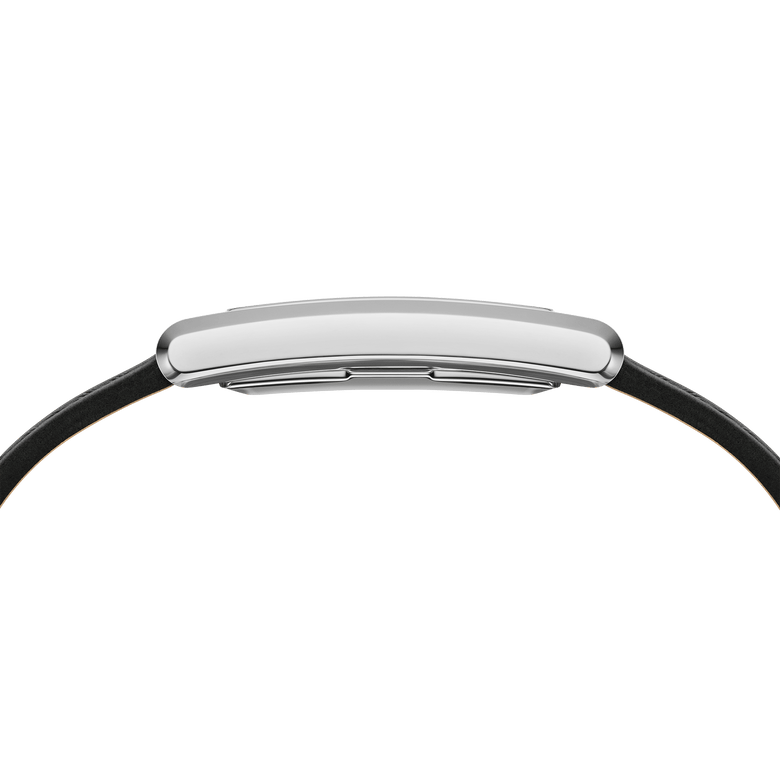 Bound Black Crocodile Silver