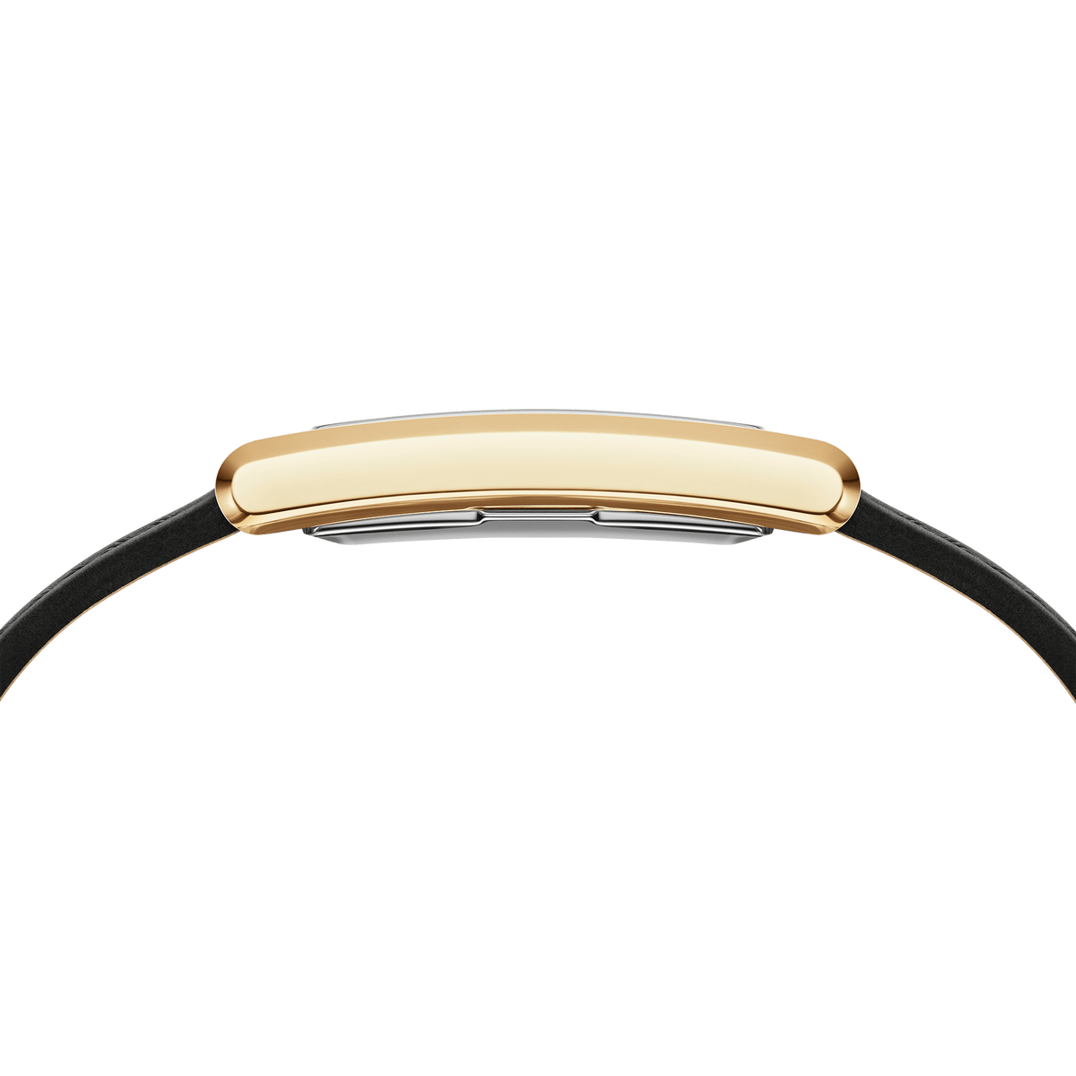 Bound Black Crocodile Gold