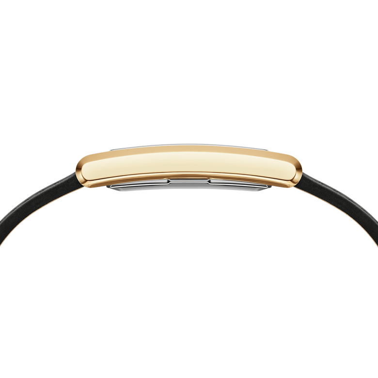 Bound Black Crocodile Gold