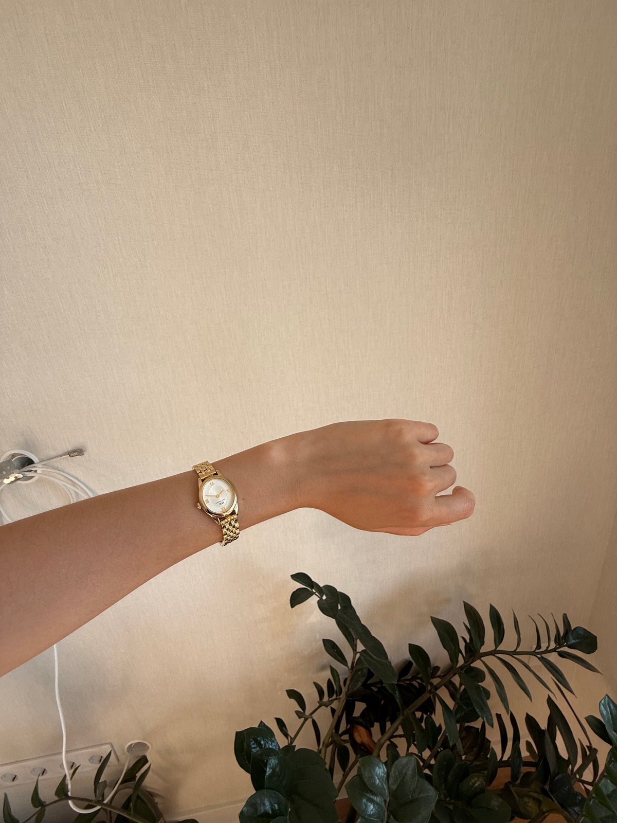 Photo from a customer review