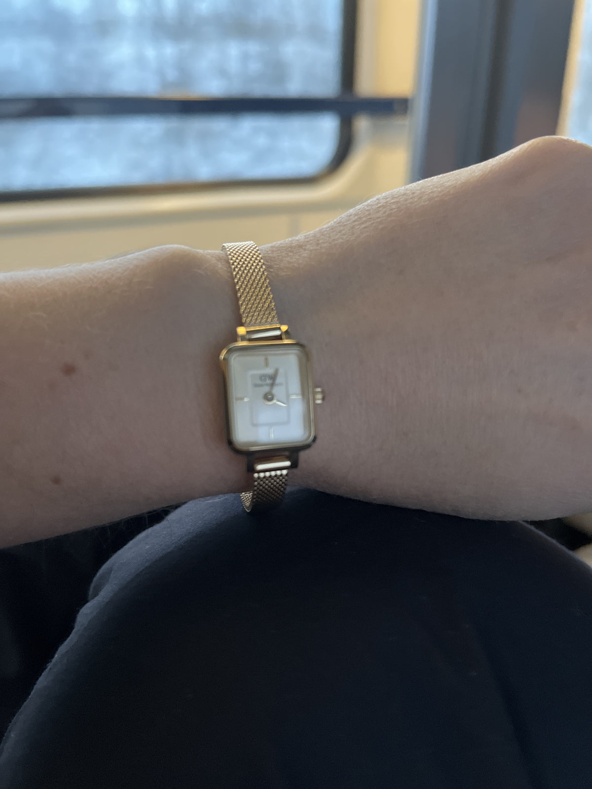 Photo from a customer review
