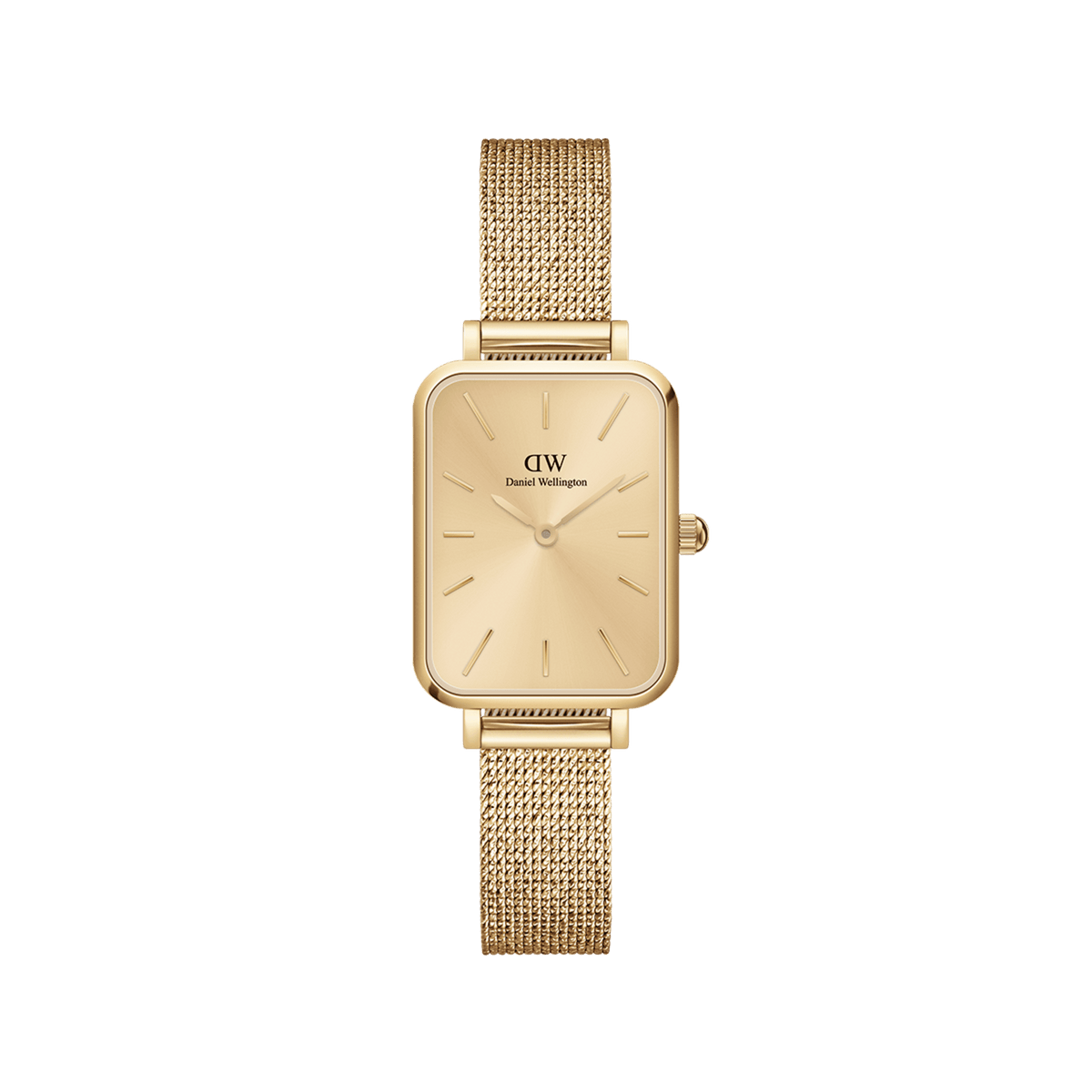 Dw watch outlet discount