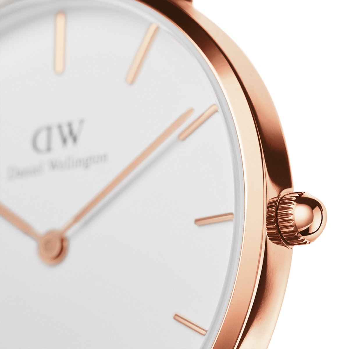Petite Bondi - Small White women's watch - 32mm | DW Petite Bondi - Small White women's watch - 32mm | DW