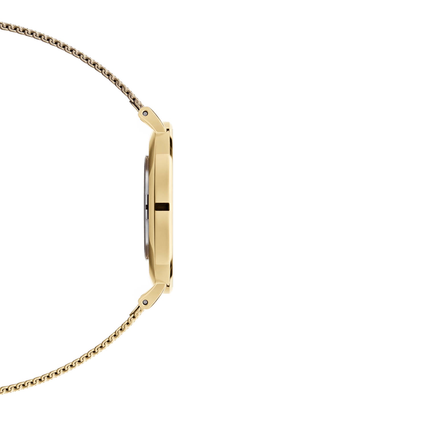新品未使用❣️ダニエルウェリントン腕時計Petite Evergold 36MM 新品未使用❣️ダニエルウェリントン腕時計Petite Evergold 36MM